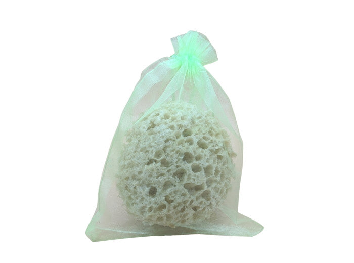 Aqua Soft Bath Sponge