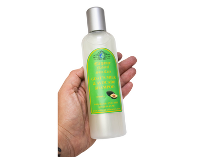 Avocado Shampoo