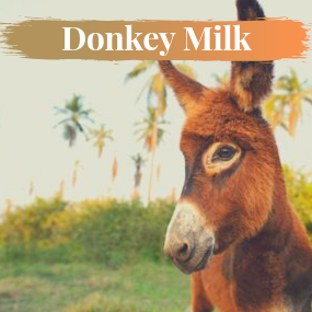 Donkey Milk Range
